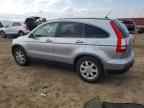 2007 HONDA CR-V