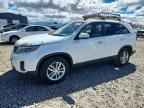 2014 KIA SORENTO
