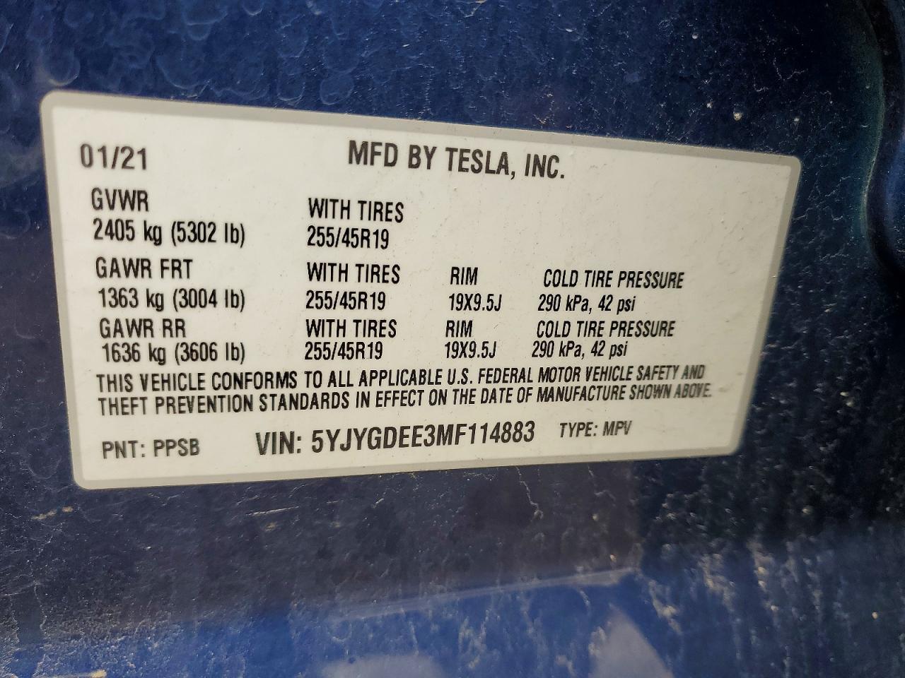 2021 TESLA MODEL Y