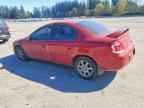 2003 DODGE Neon