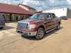 2010 FORD F-150 Lightning