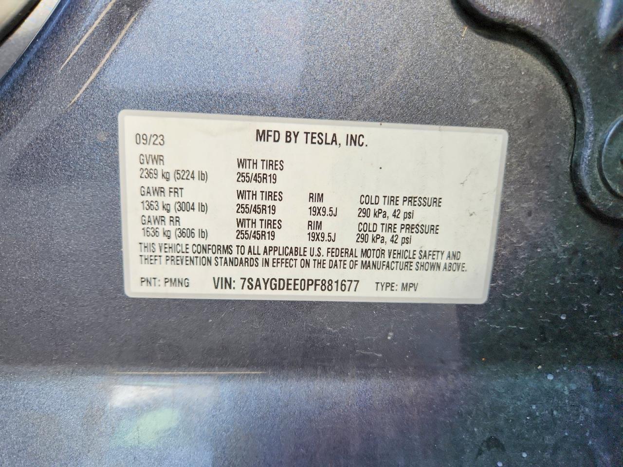 2023 TESLA MODEL Y