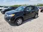 2013 KIA SORENTO