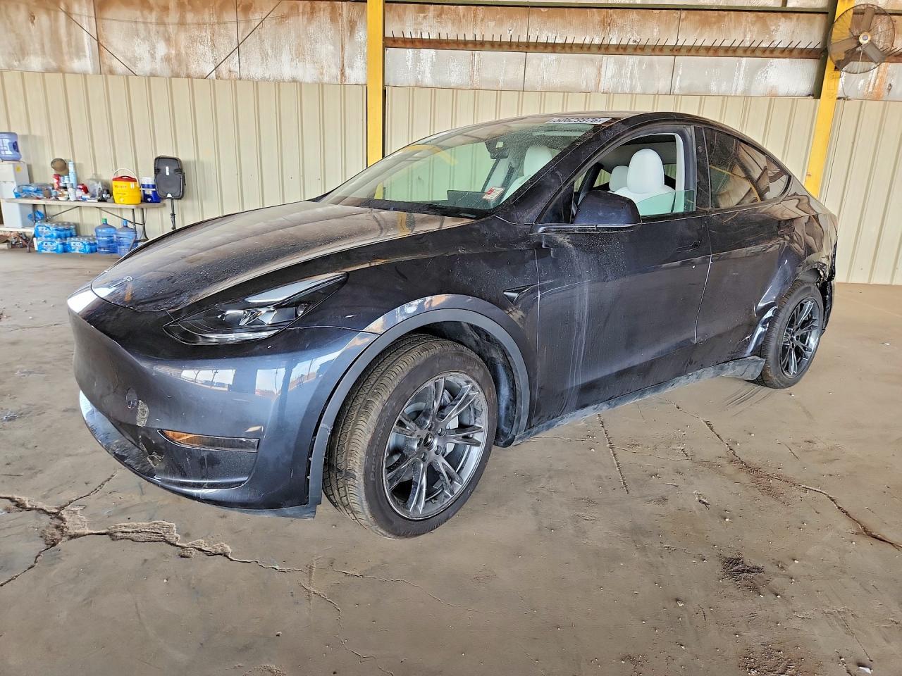2025 TESLA MODEL Y