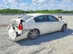 2008 NISSAN Maxima