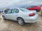 2005 CHEVROLET Classic