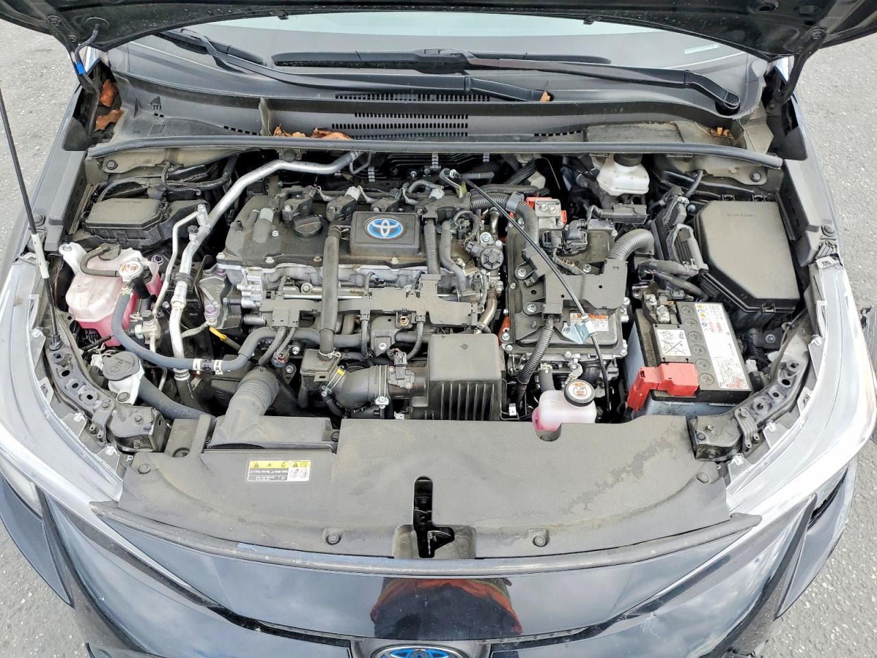 2023 TOYOTA COROLLA