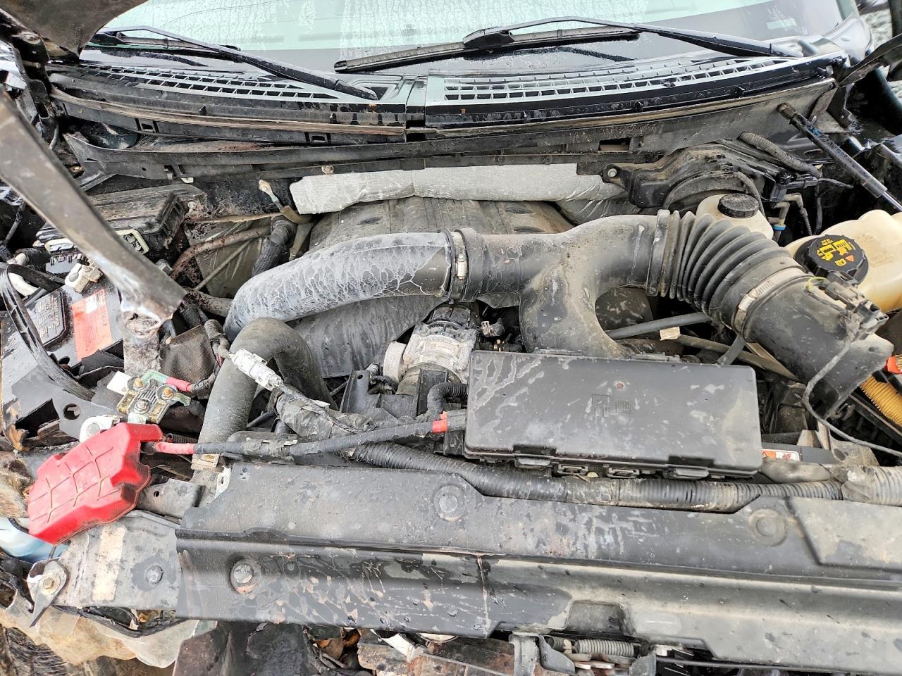 2013 FORD 1/2 Ton