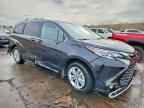 2023 TOYOTA SIENNA