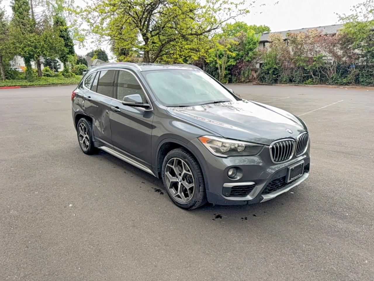 2019 BMW X1