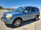 2005 HONDA PILOT