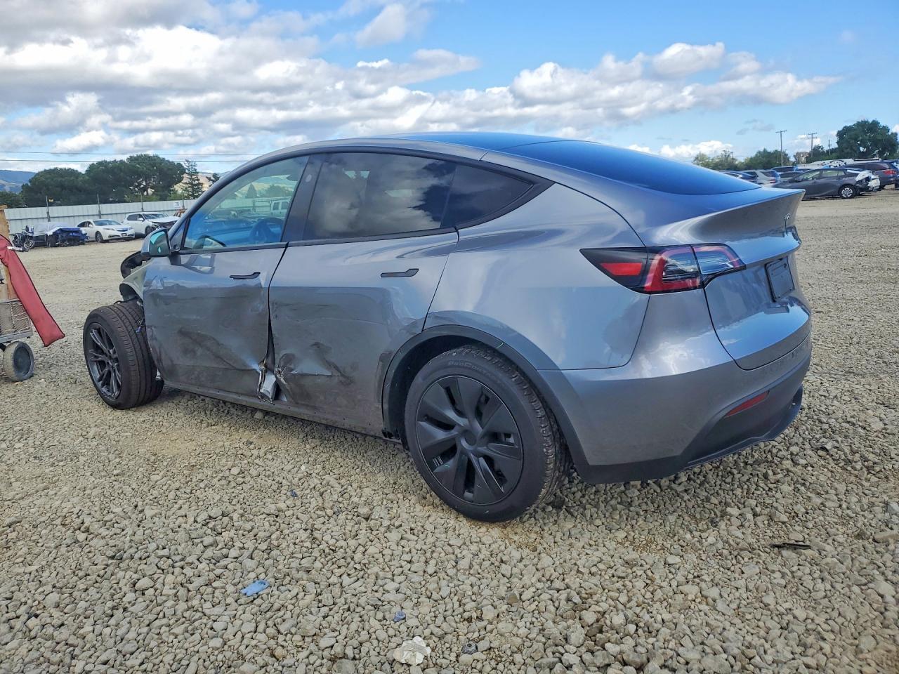 2025 TESLA MODEL Y