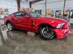 2013 FORD MUSTANG
