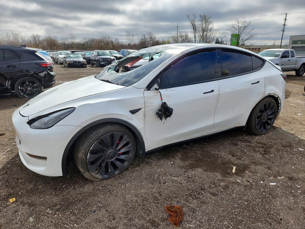 2025 TESLA MODEL Y