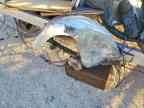 1986 TRAILER Boat Trailer