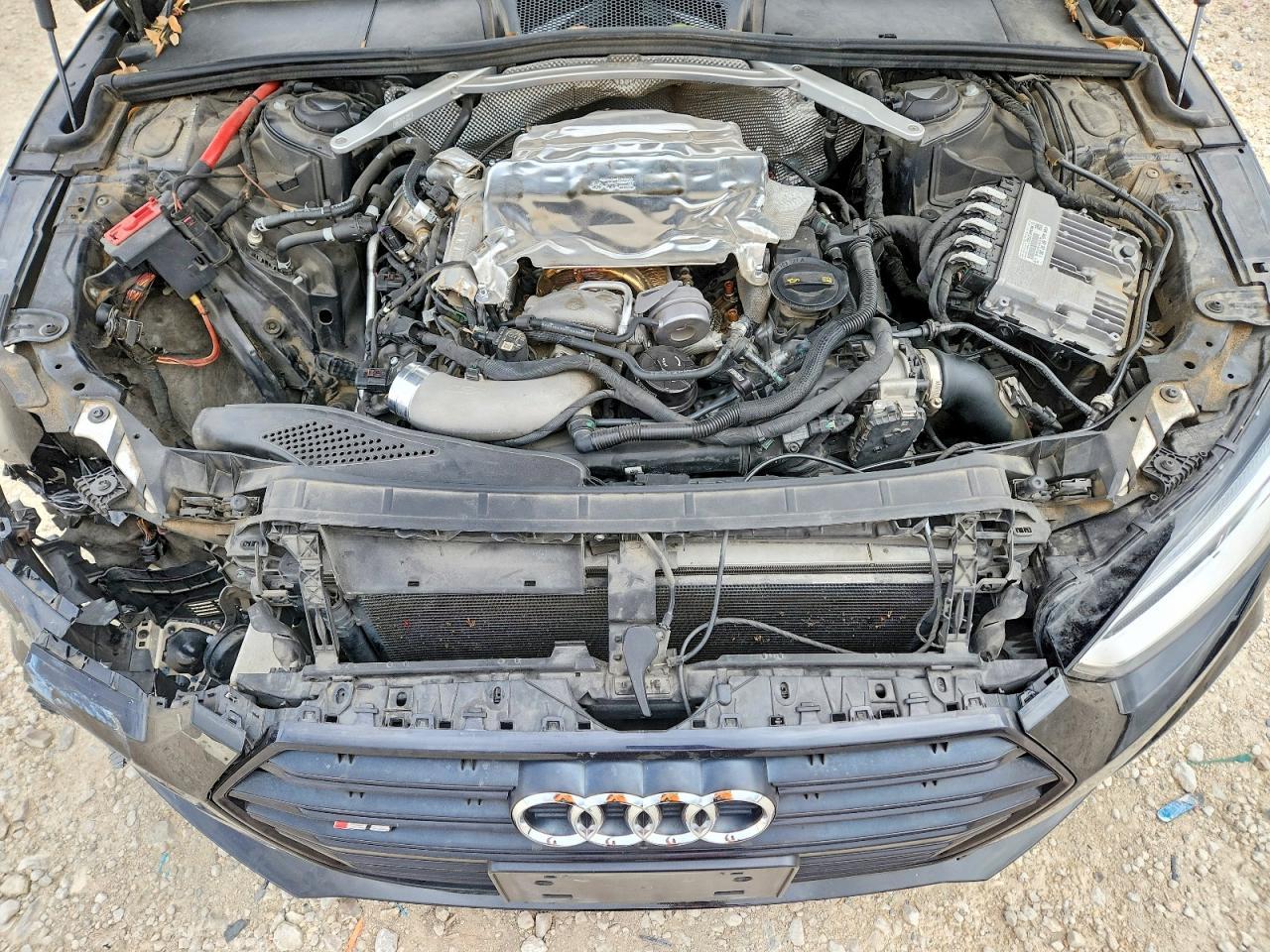 2019 AUDI S5