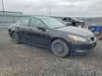 2010 HONDA ACCORD