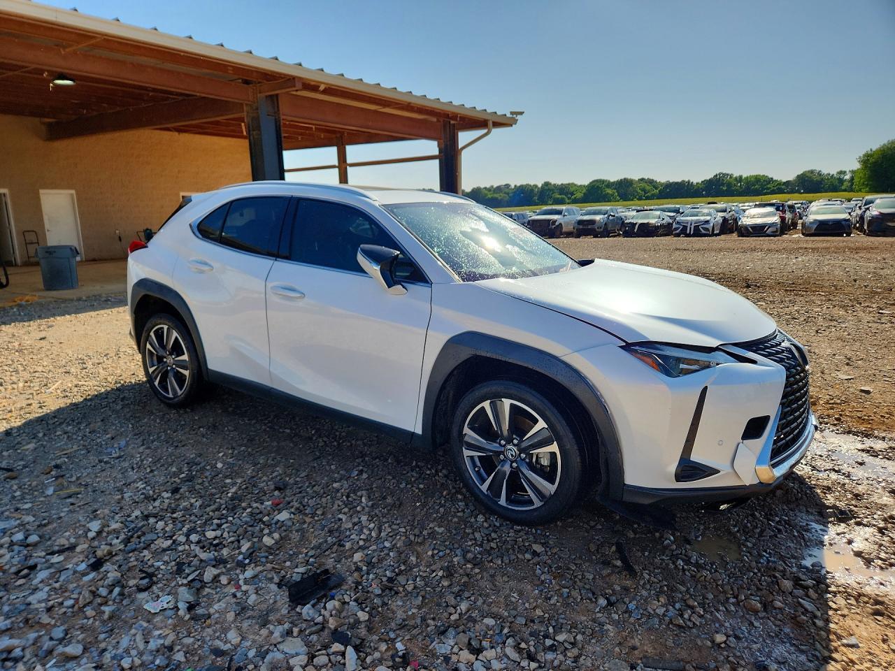 2019 LEXUS UX 250H