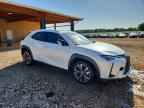 2019 LEXUS UX 250H