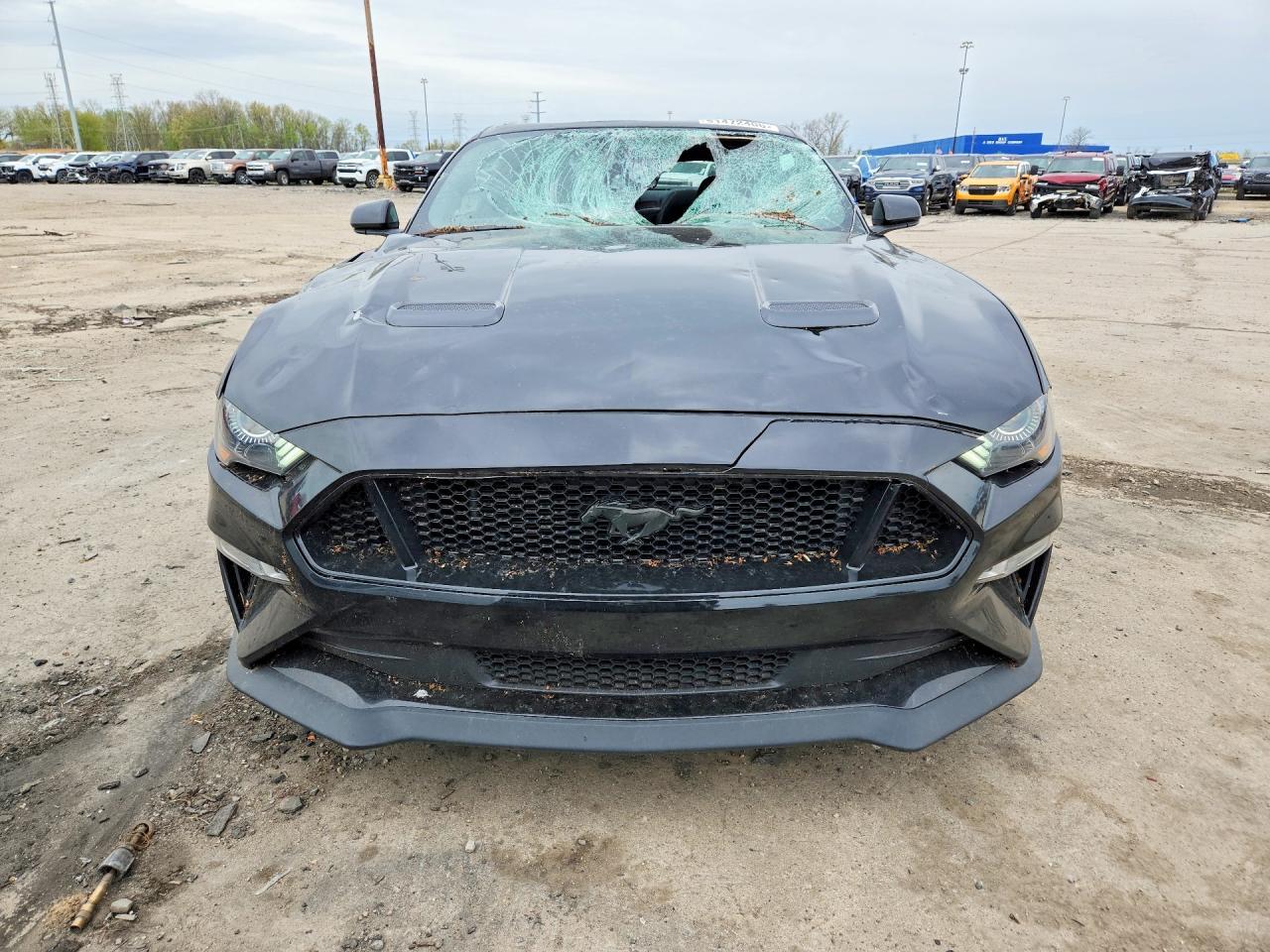 2022 FORD MUSTANG
