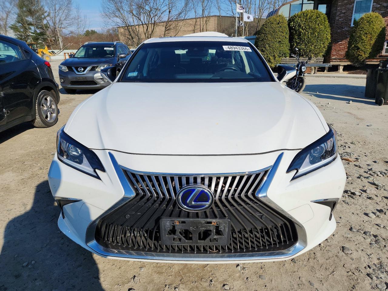 2019 LEXUS ES 300H