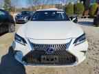 2019 LEXUS ES 300H