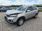 2013 KIA SORENTO