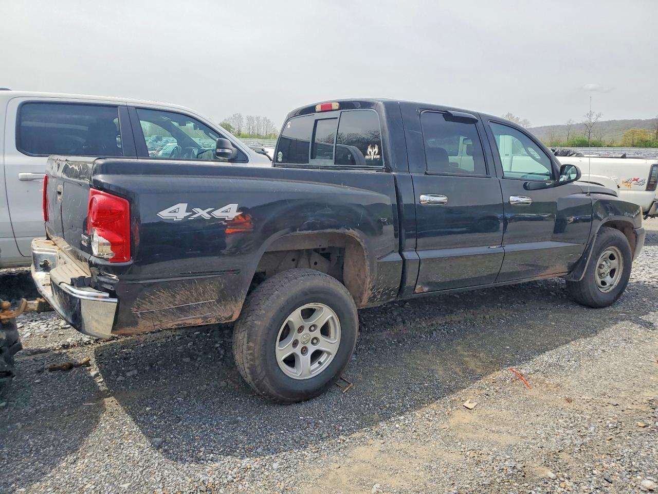 2005 DODGE Dakota