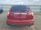 2010 HONDA CR-V
