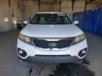 2011 KIA SORENTO