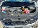 2025 KIA Carnival