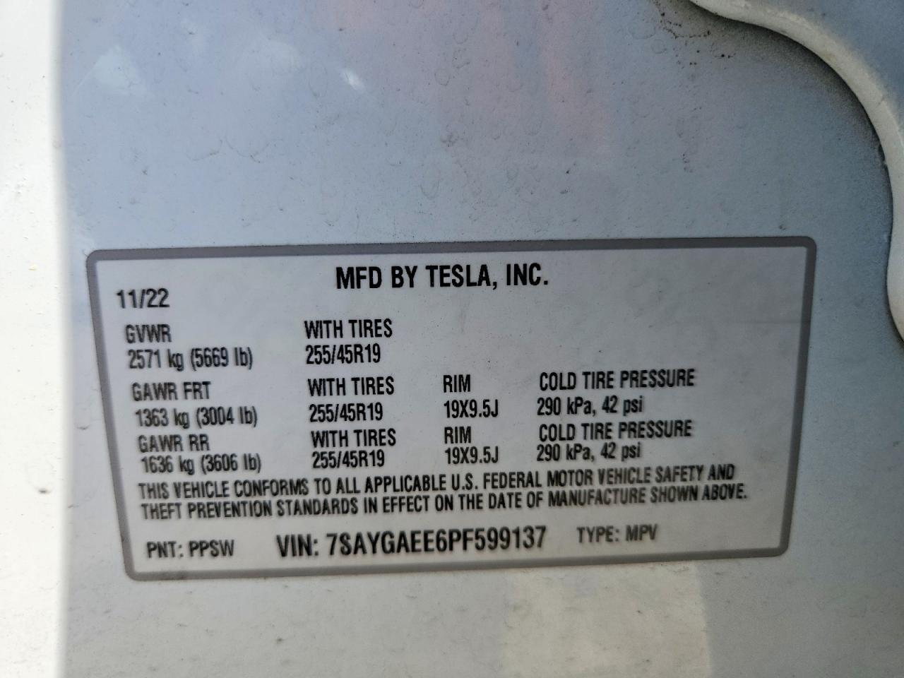 2023 TESLA MODEL Y