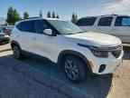 2024 KIA SELTOS