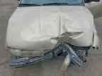1999 Snowex Sl1