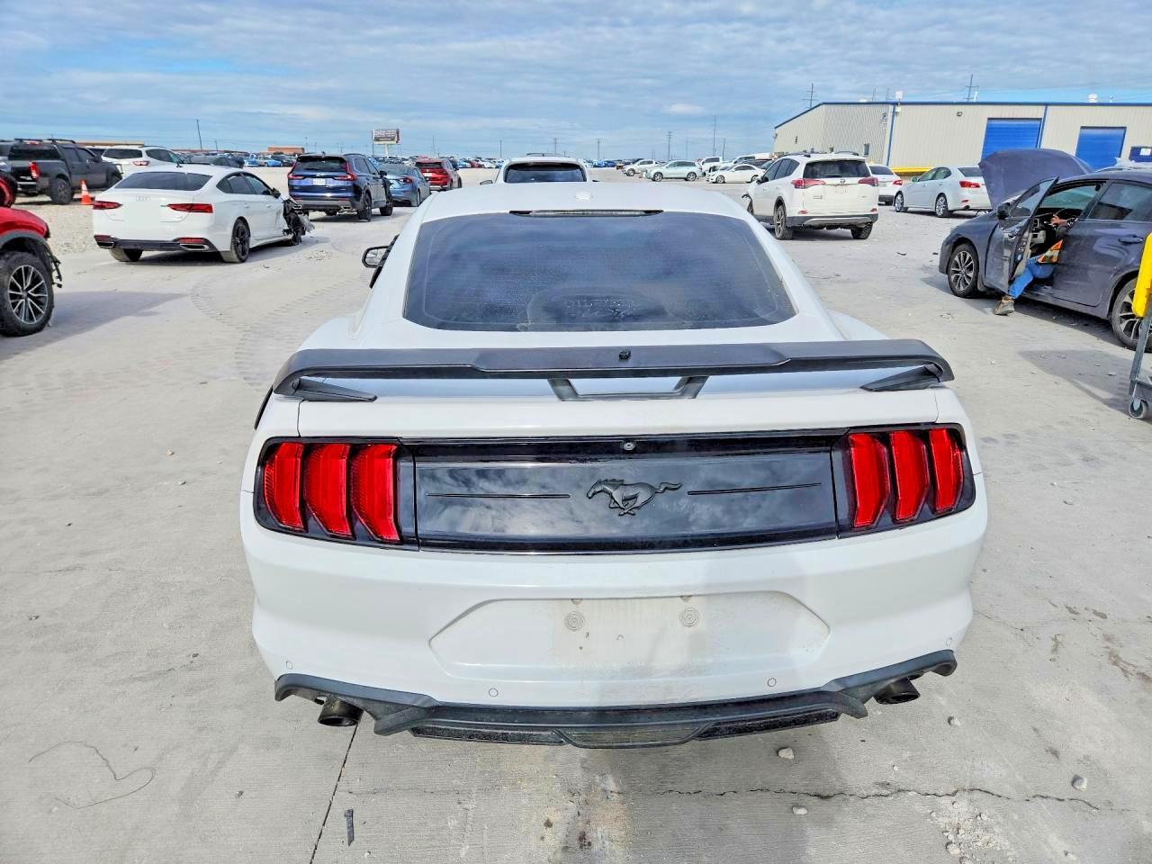 2019 FORD MUSTANG