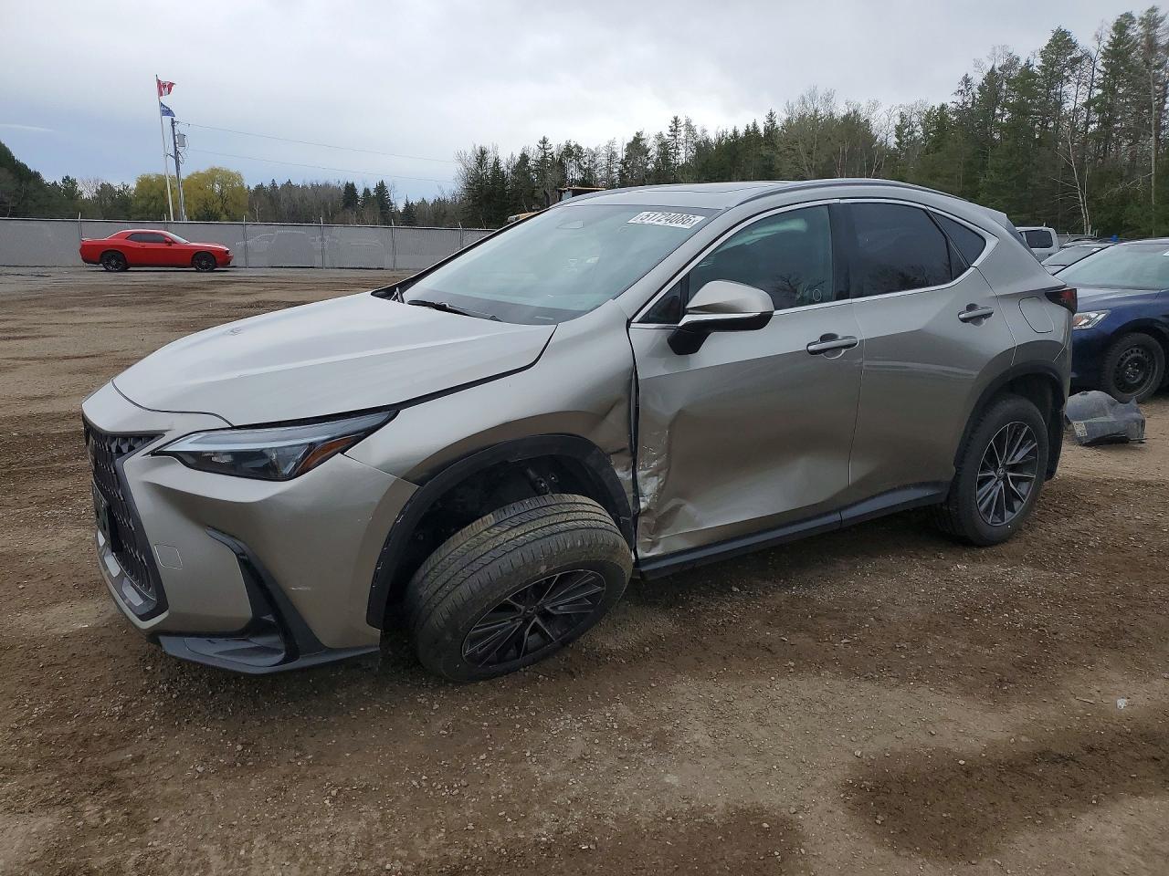 2024 LEXUS NX 350H