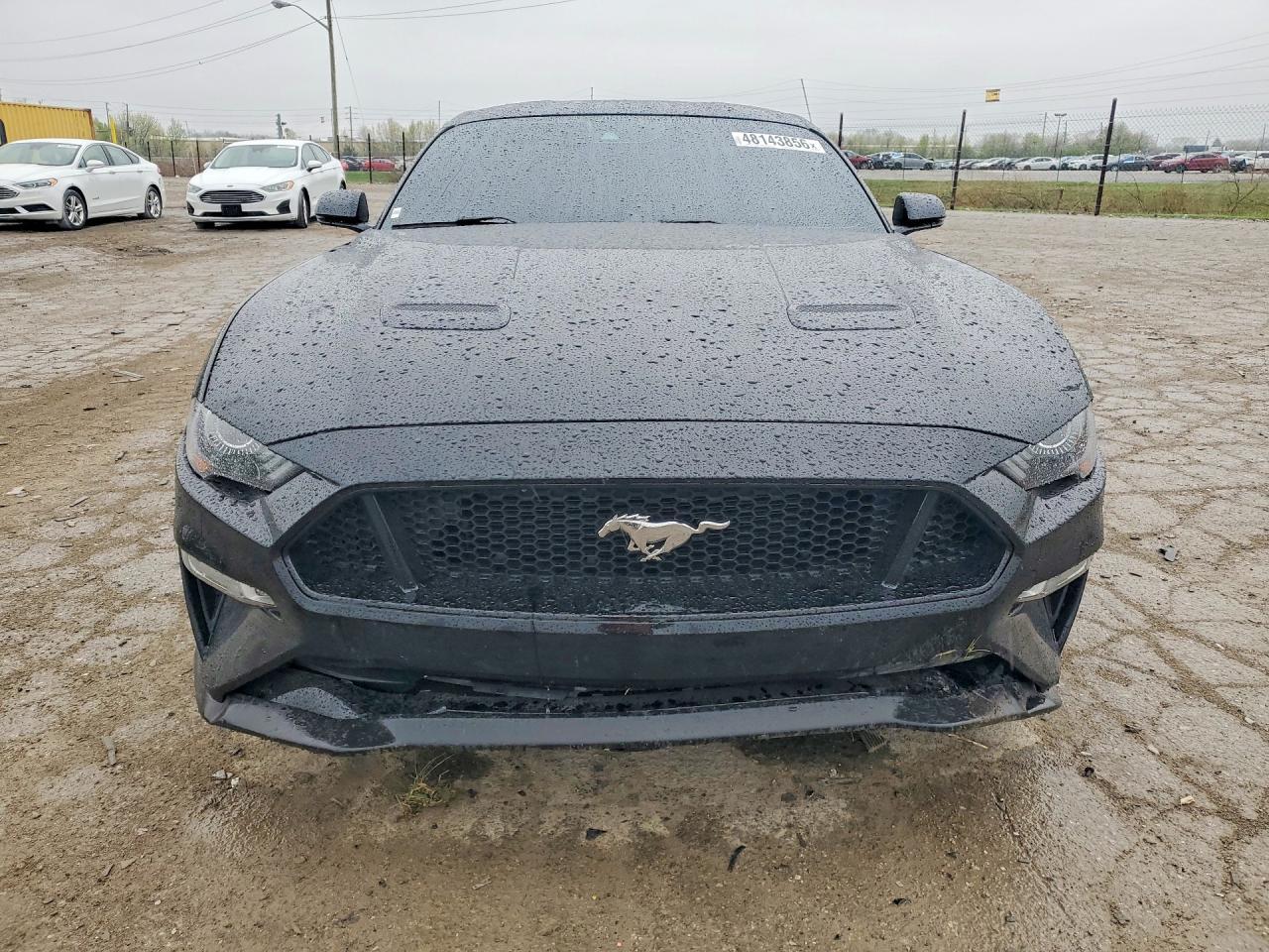 2019 FORD MUSTANG