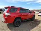 2023 TOYOTA 4Runner