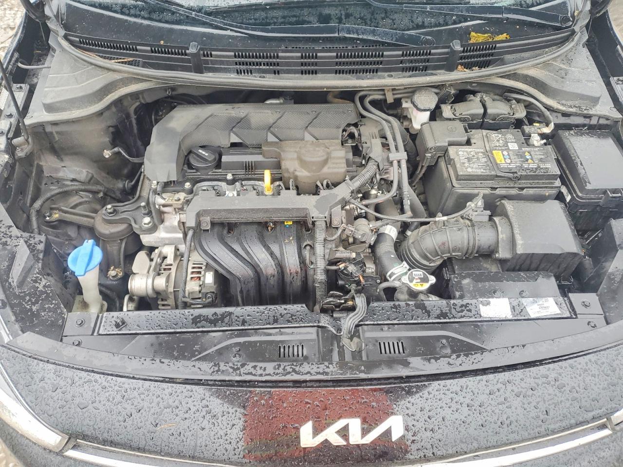 2023 KIA RIO