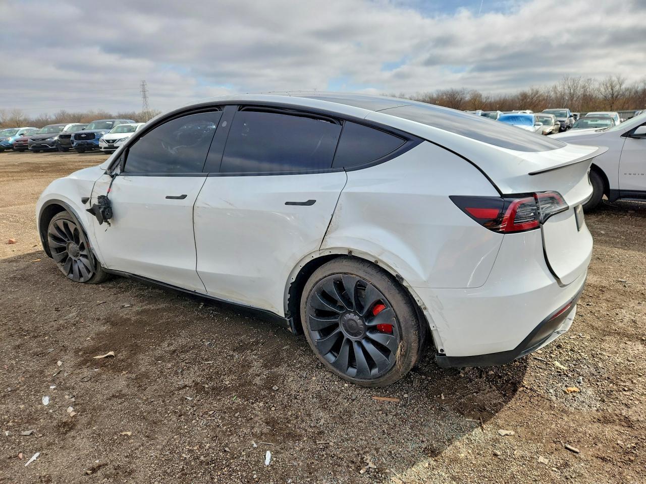 2025 TESLA MODEL Y