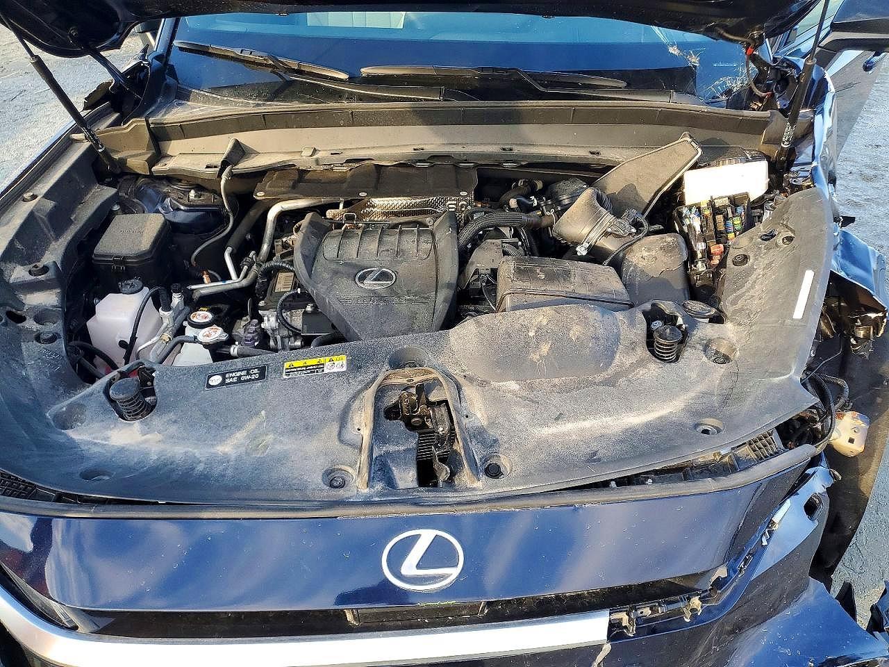 2024 LEXUS TX 500H