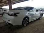 2023 NISSAN Maxima
