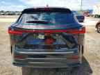 2024 LEXUS NX 250