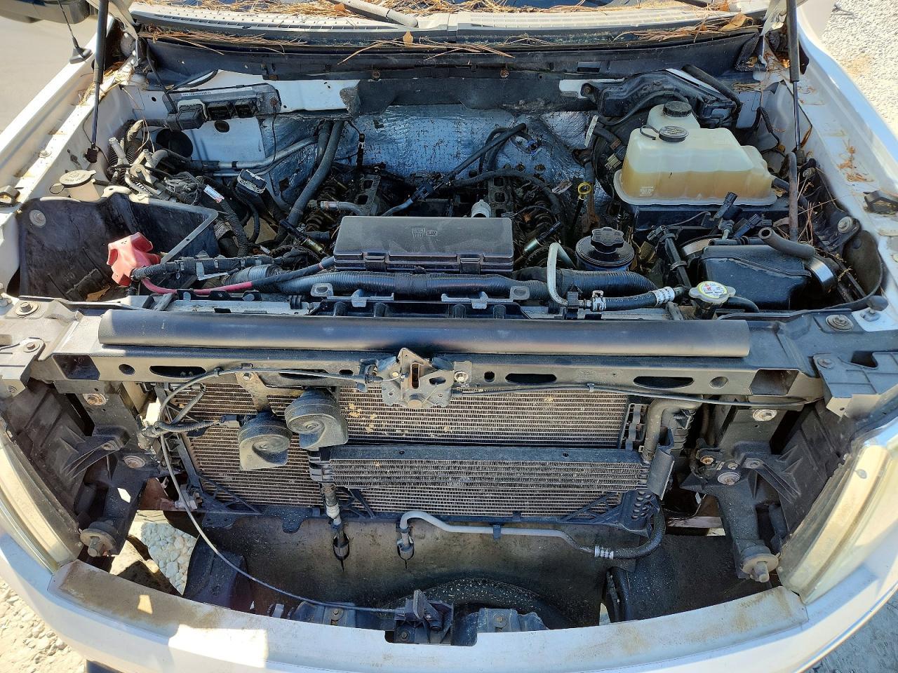 2010 FORD F-150 Lightning