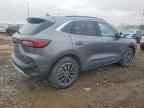 2026 FORD Escape Hybrid