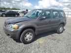 2006 FORD ESCAPE