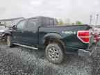 2013 FORD 1/2 Ton