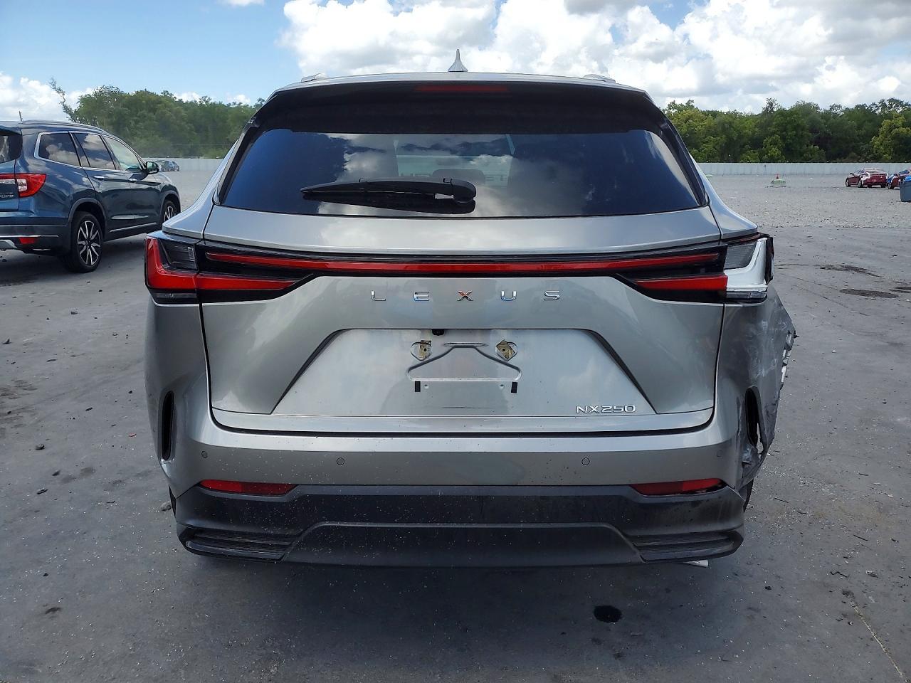 2024 LEXUS NX 250