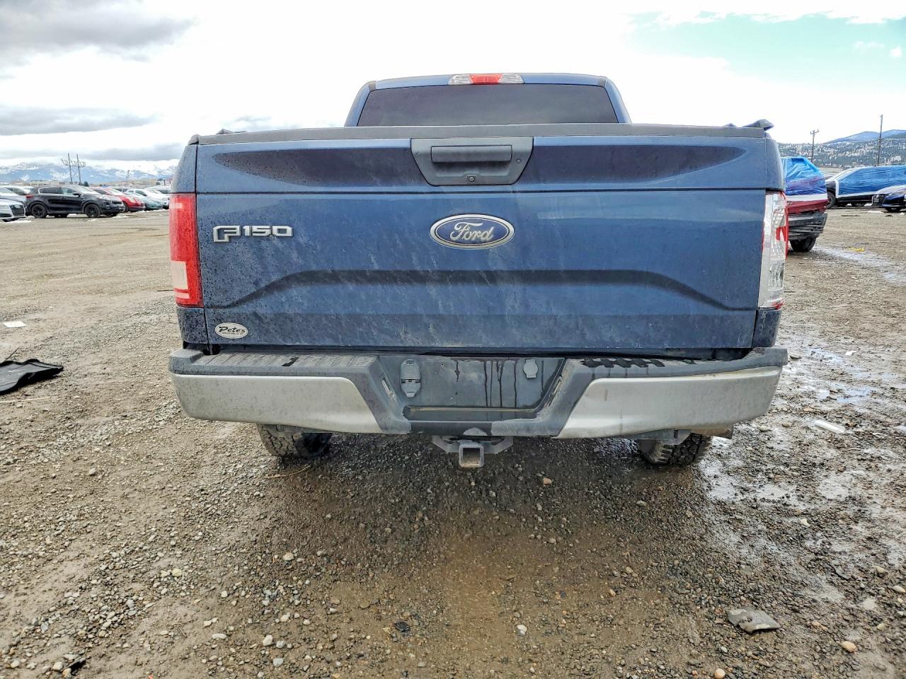2017 FORD F-150 Lightning