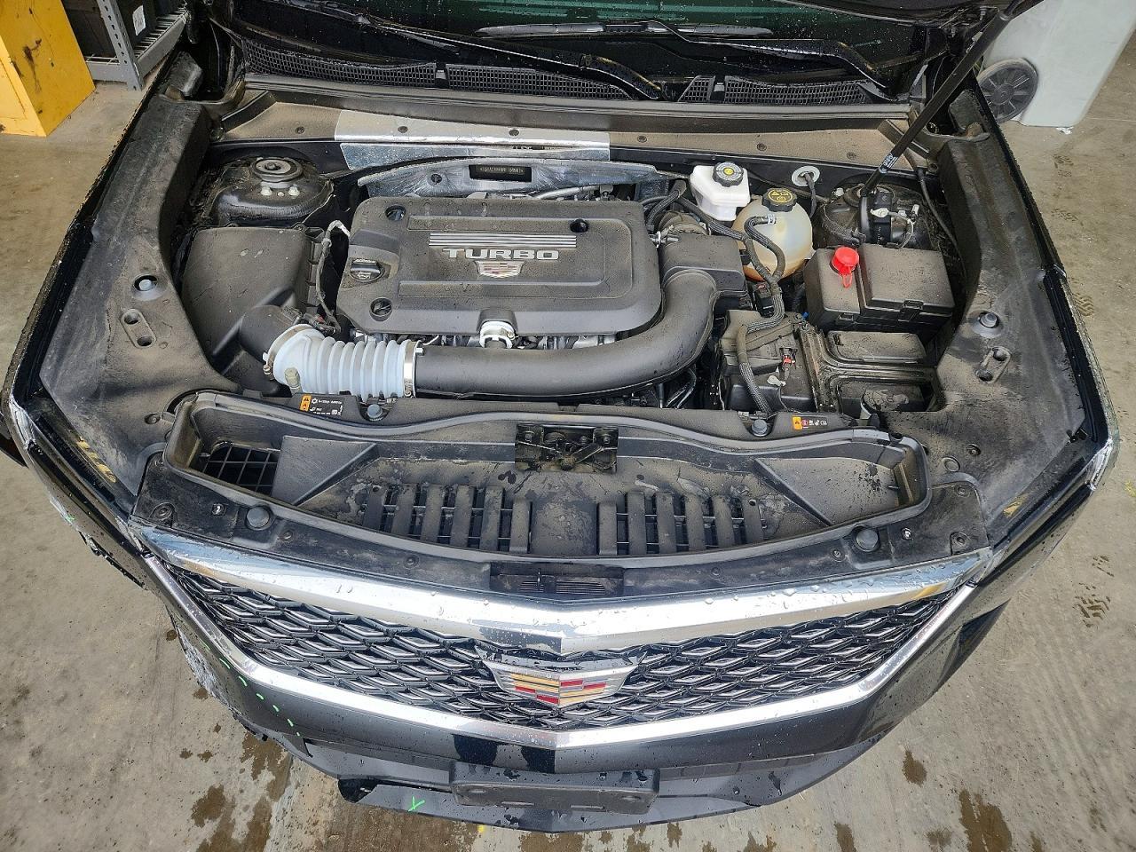 2024 CADILLAC XT4